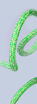 Slika KAYA LUPES LS Tight Bijela sa Zelenim 6mm